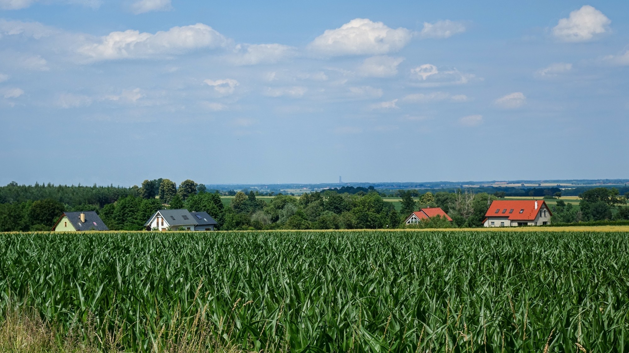 Czerwiec w obiektywie - zdjęcie 29