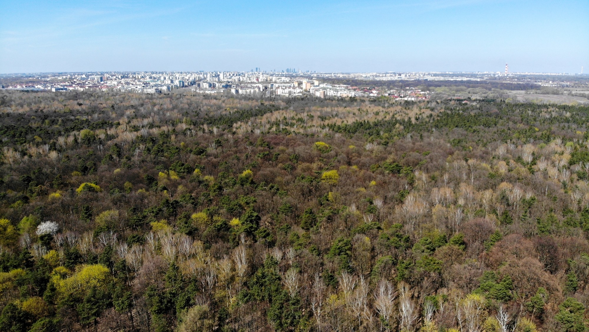 Wiosna w Polsce okiem drona - zdjęcie 21