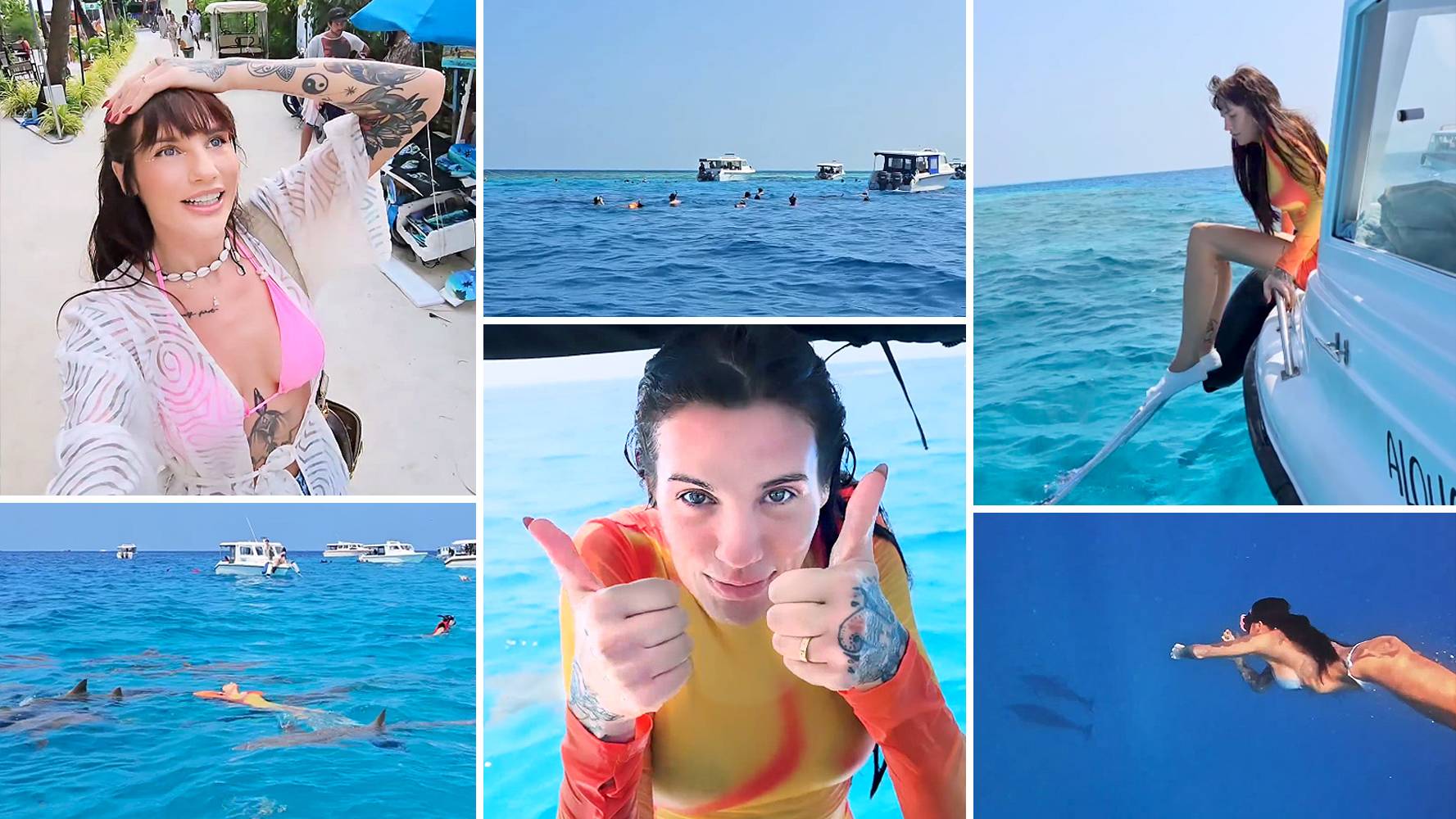 Karolina Gilon pływa z delfinami i rekinami na Malediwach - Polsat.pl
