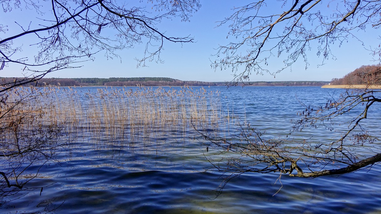 Nad morzem, jeziorami i rzekami - zdjęcie 93