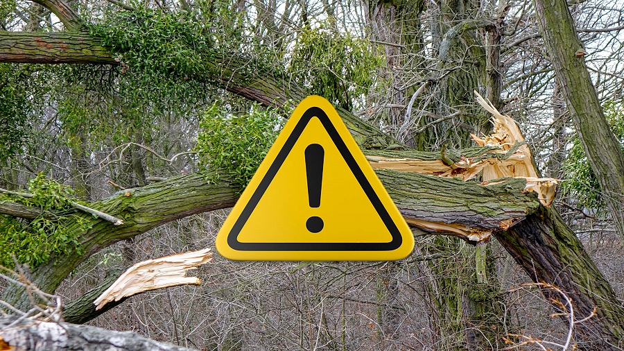 10.12.2017 10:05 Wiatr może przekraczać 100 km/h, a temperatura sięgnie 15 stopni