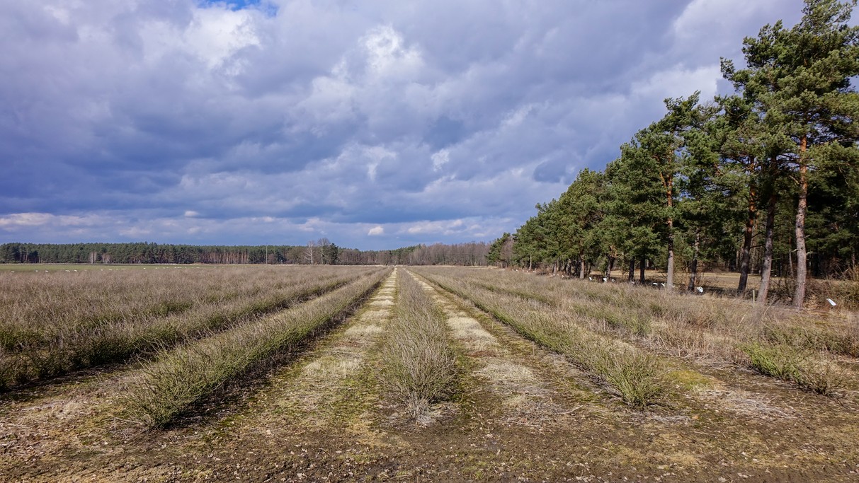 Marzec w obiektywie - zdjęcie 46