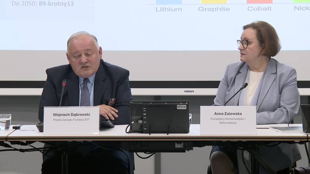Dlaczego Europa przegrywa wyścig o surowce krytyczne? Raport Fundacji SET