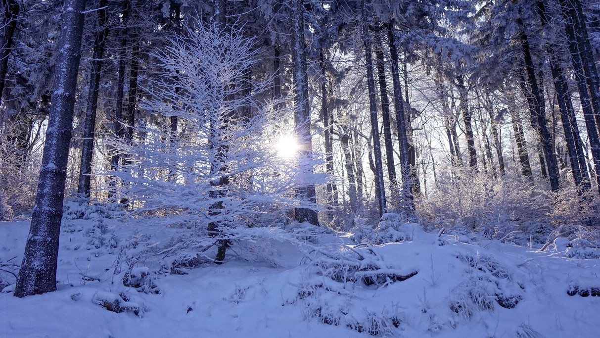 Zima w górach - zdjęcie 20