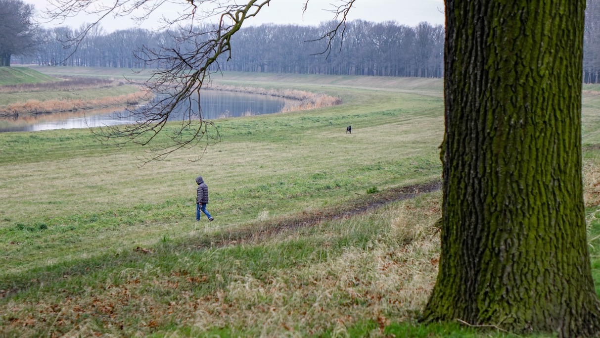 Styczeń w obiektywie - zdjęcie 13
