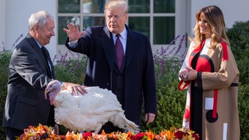 Donald Trump ułaskawił indyki przed Świętem Dziękczynienia