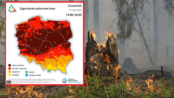 IMGW ostrzega. Zagrożenie pożarowe lasu w całym kraju
