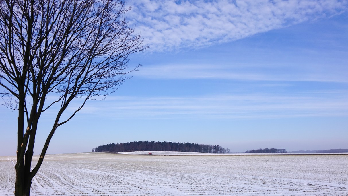 Marzec w obiektywie - zdjęcie 8