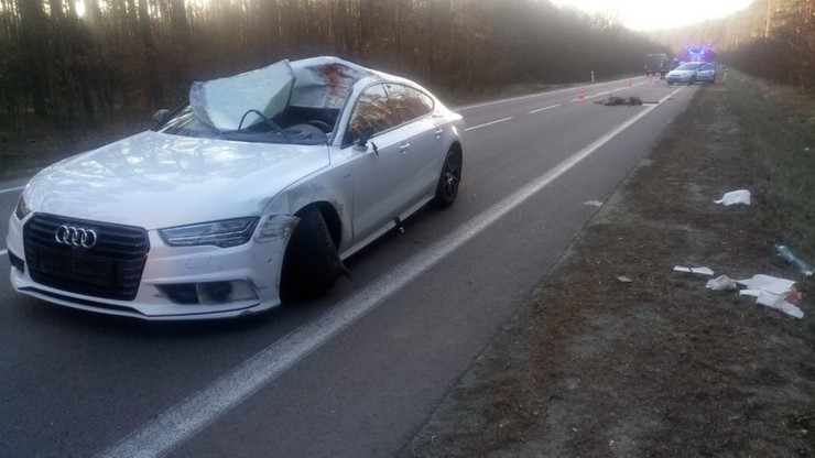 Audi uderzyło w jelenia, a później w forda. Pięć osób poszkodowanych