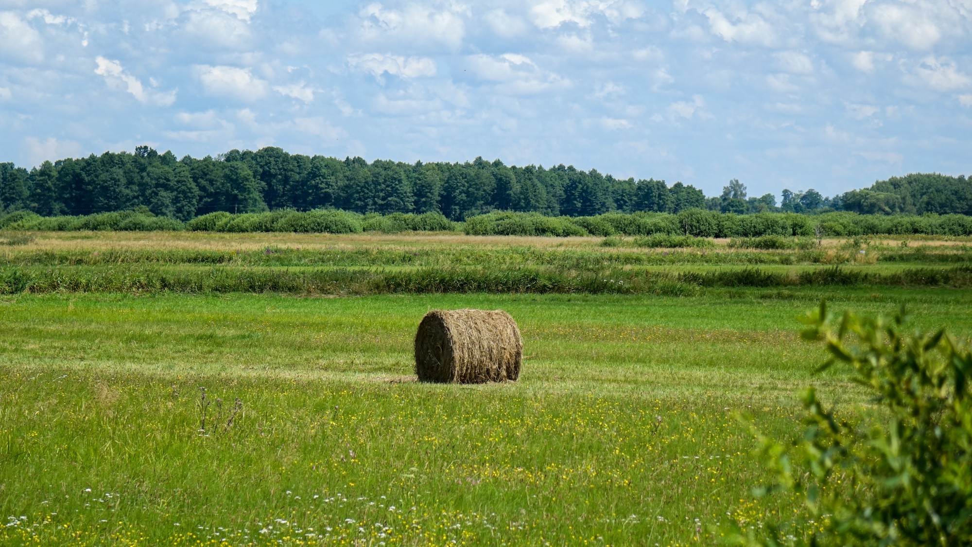 Lipiec w obiektywie - zdjęcie 27