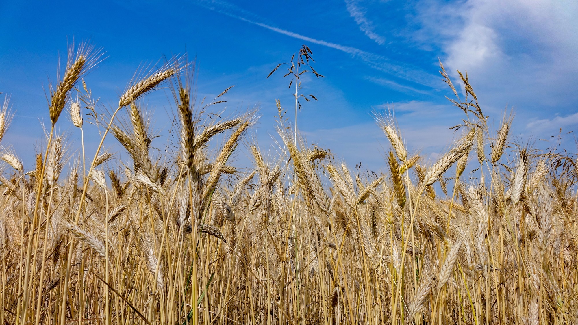 Wakacyjne podróże - zdjęcie 20