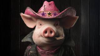 RYJEK 2025 Gala Finałowa 29. Rybnickiej Jesieni Kabaretowej