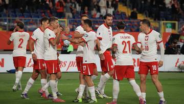 Udany rewanż! Polacy pewnie pokonali Finów