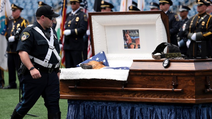 Uratował życie opiekunowi. Pies oficer pochowany z honorami