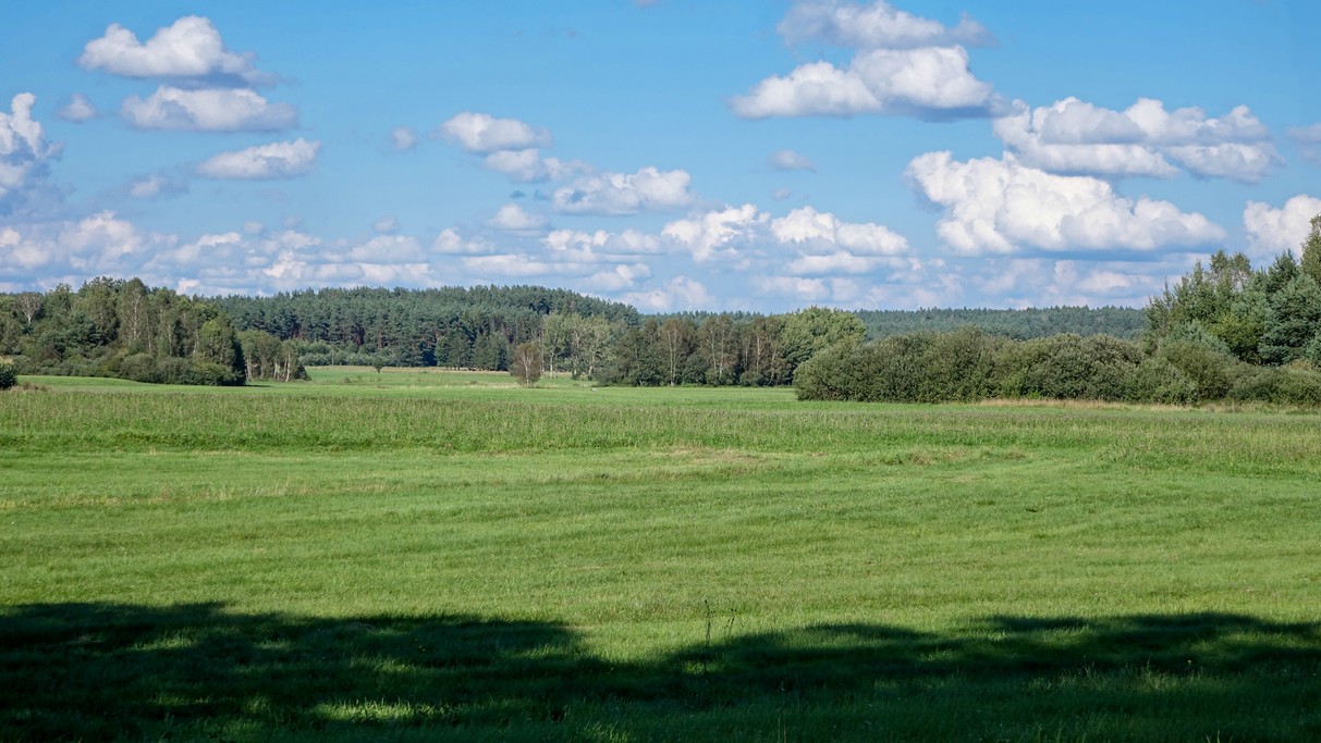 Lipiec w obiektywie - zdjęcie 27