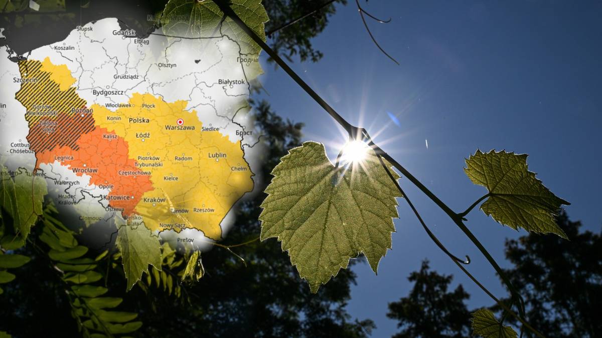 "Sytuacja będzie się zmieniać". IMGW wydał ostrzeżenia I i II stopnia