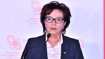 Witek: Grupa Wyszehradzka mówi jednym głosem