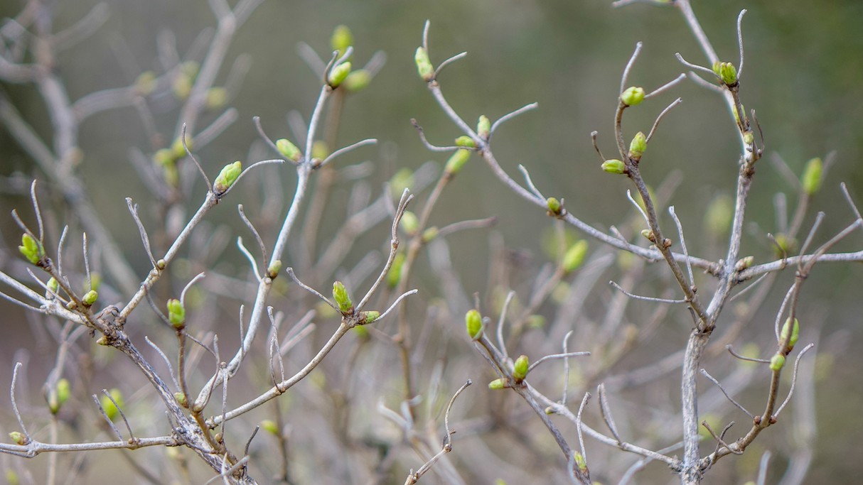 Luty w obiektywie - zdjęcie 16