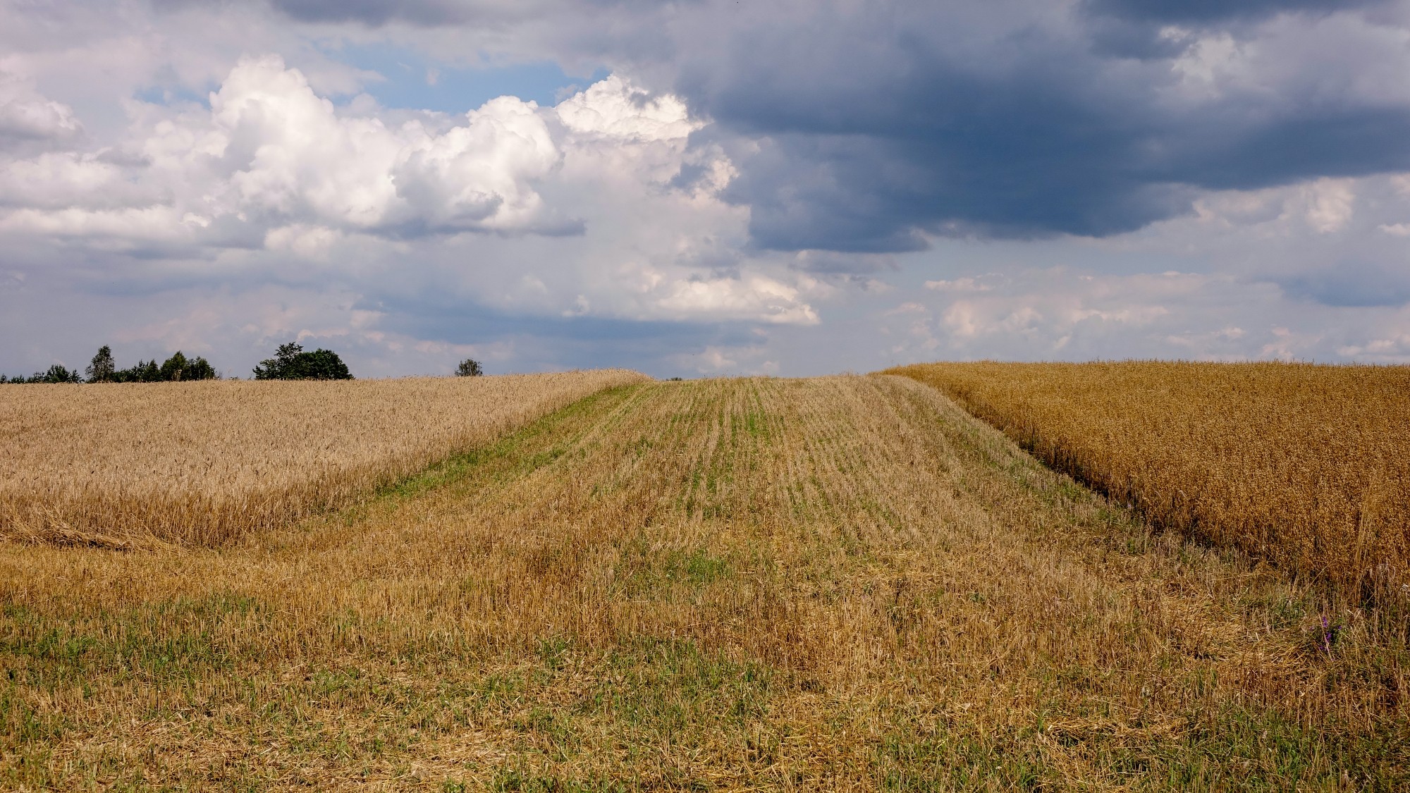 Od morza po góry - zdjęcie 5
