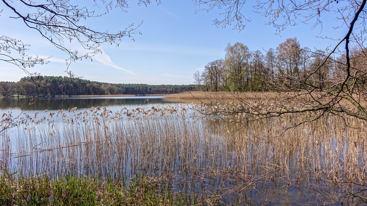 Powiewy wiosny - zdjęcie 15