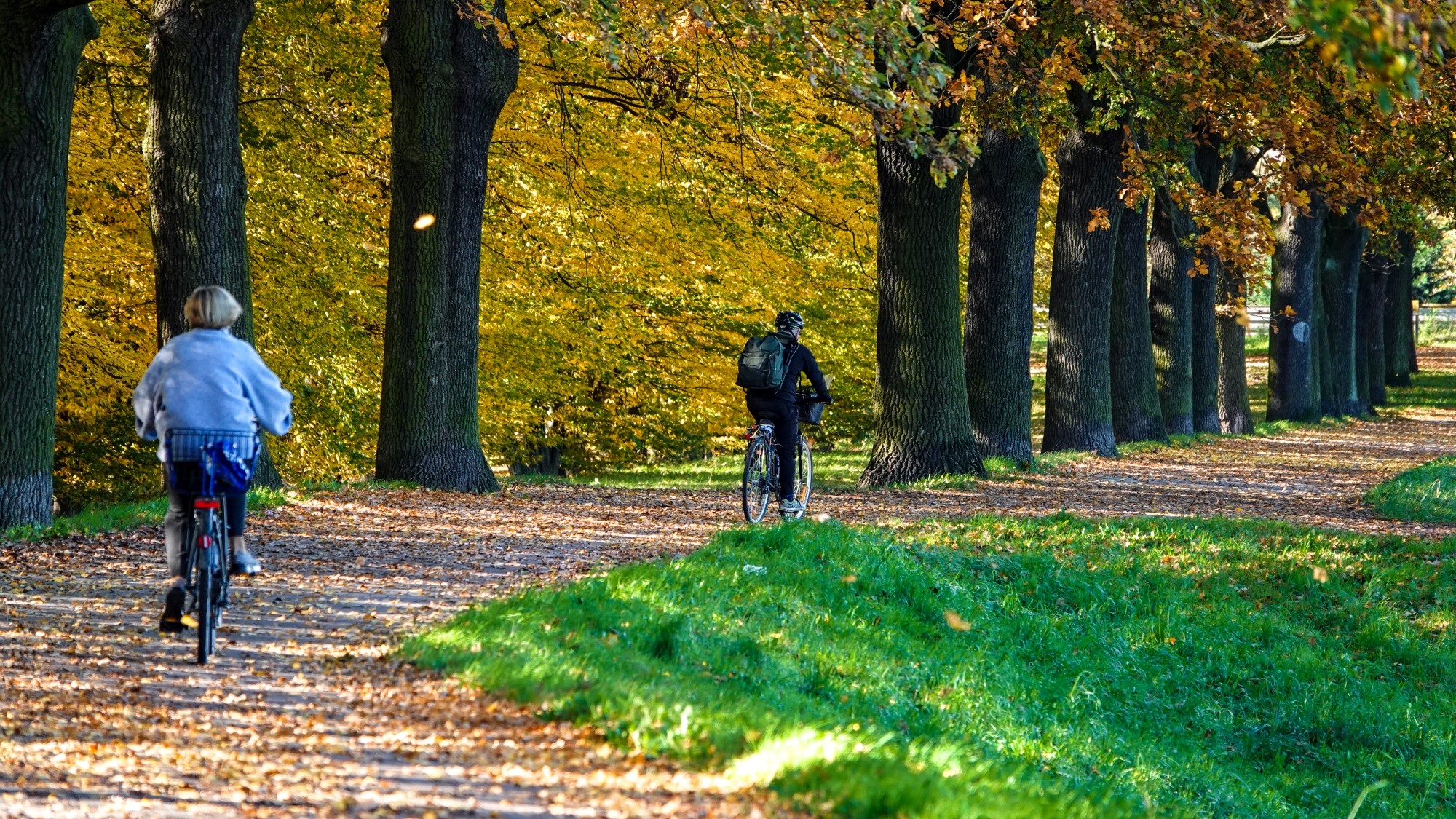 Wszystkie barwy jesieni - zdjęcie 43
