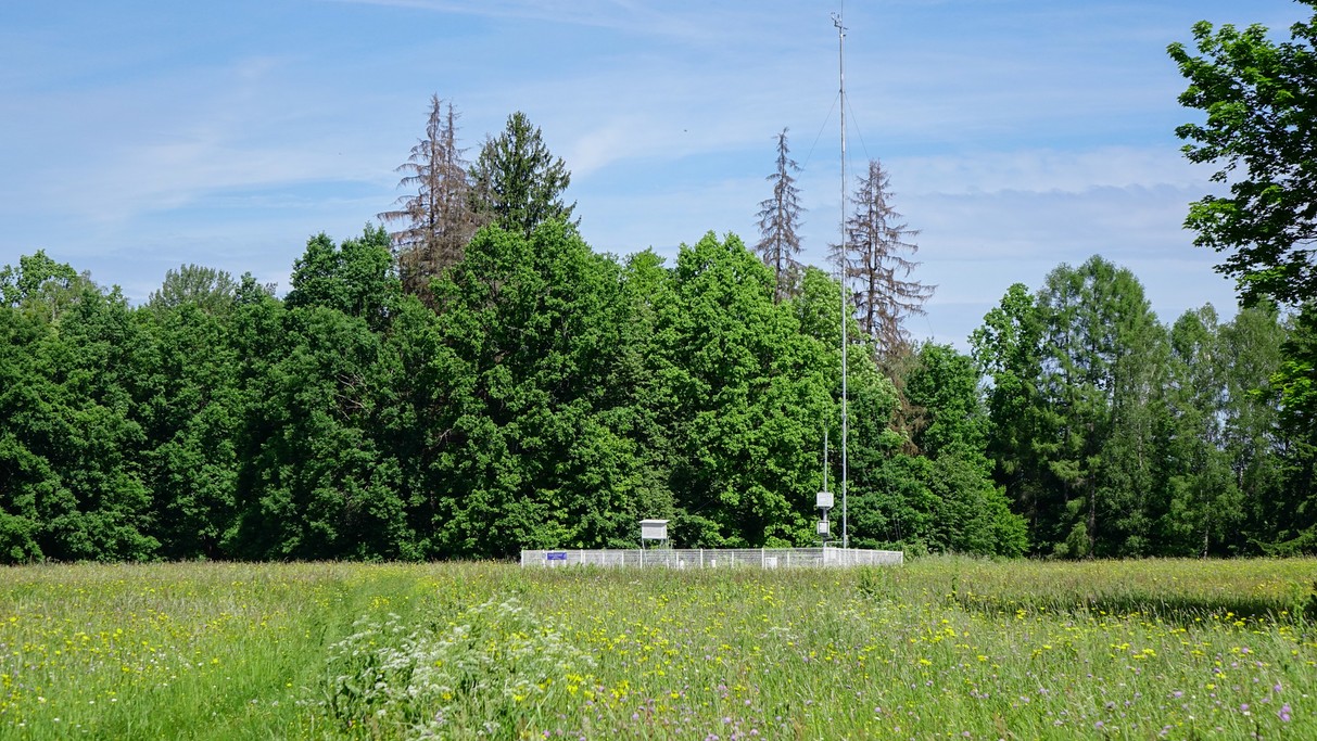 Białowieski Park Narodowy - zdjęcie 20