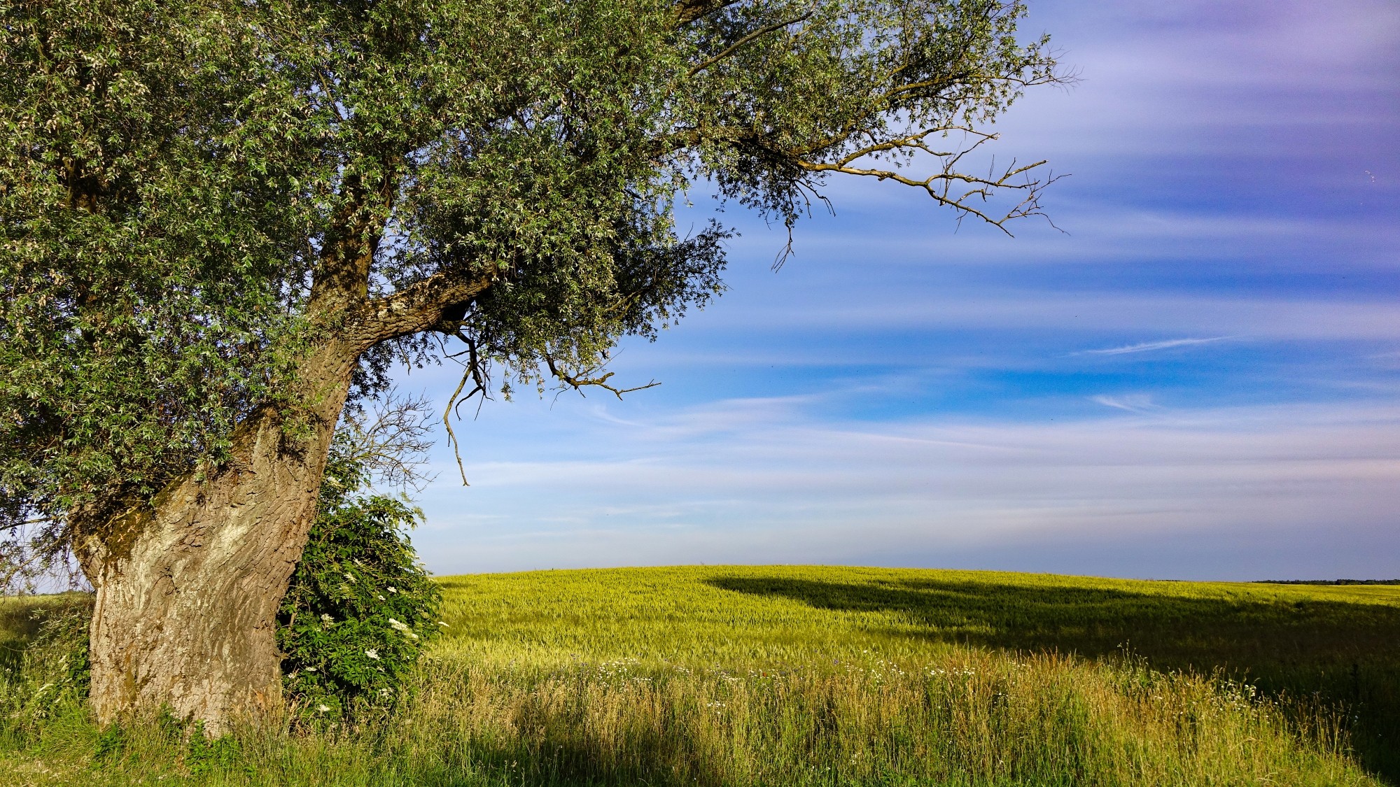 Wakacyjne podróże - zdjęcie 43