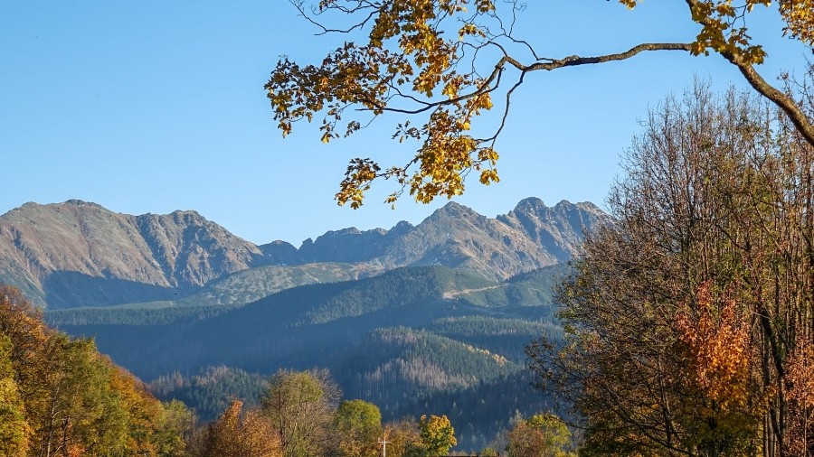 Widok na Tatry z Zakopanego. Fot. TwojaPogoda.pl