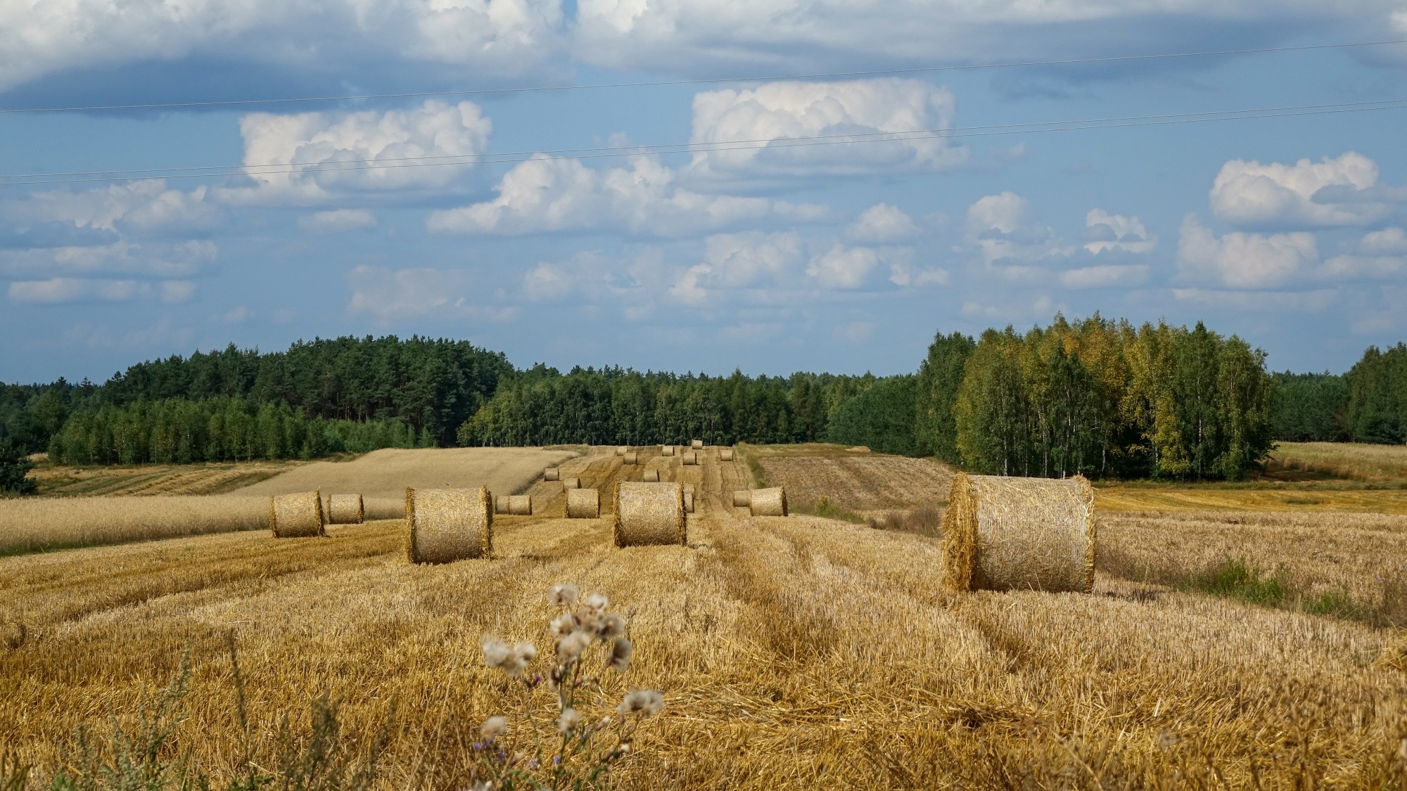 Całe piękno polskiej prowincji - zdjęcie 18