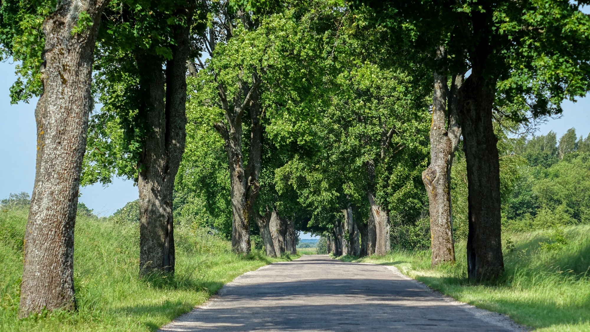 Uroki lata za miastem - zdjęcie 15