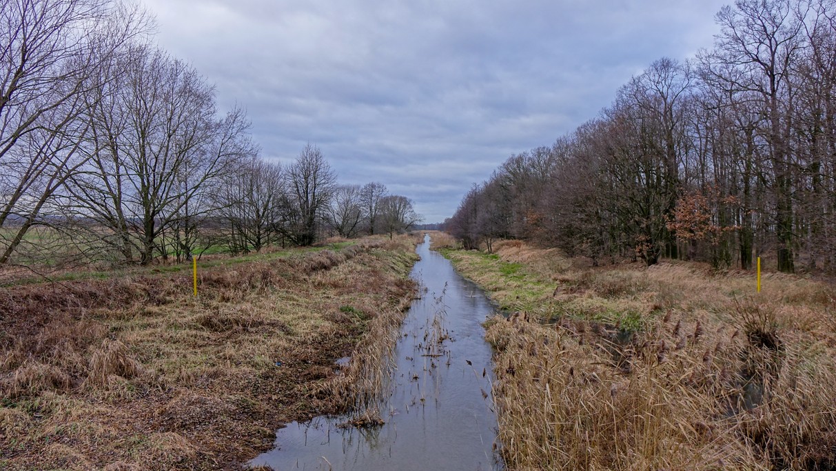 Styczeń w obiektywie - zdjęcie 50