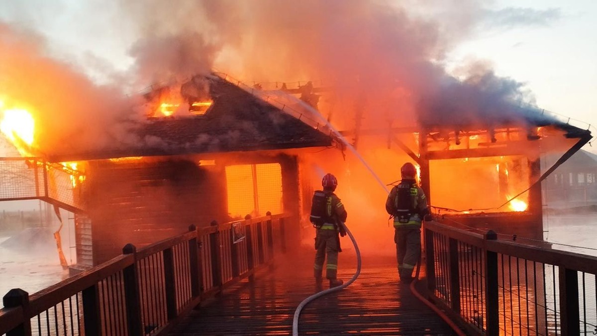 Pożar zoo w Borysewie. Zginęły zwierzęta