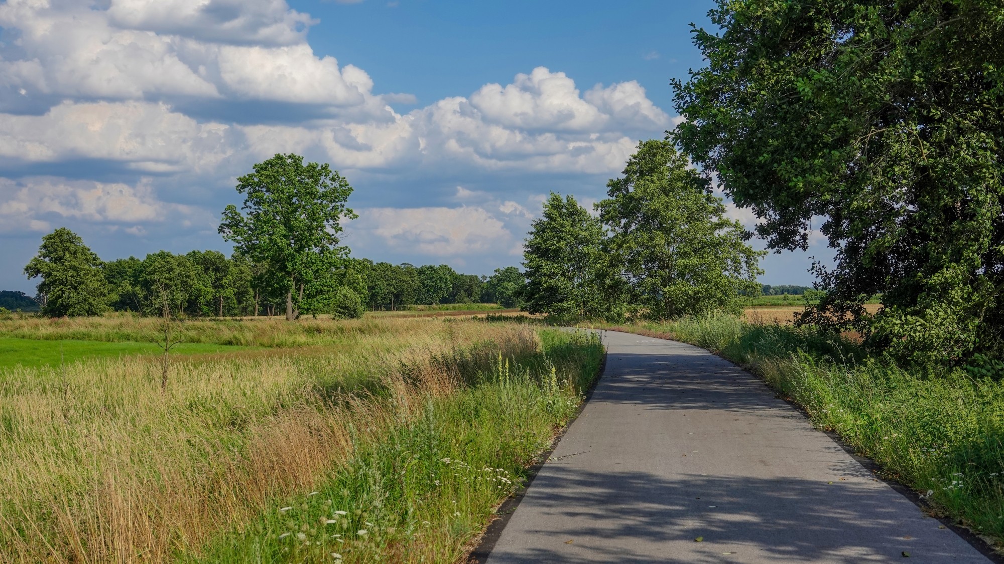 100 najpiękniejszych zdjęć 2021 roku - zdjęcie 70