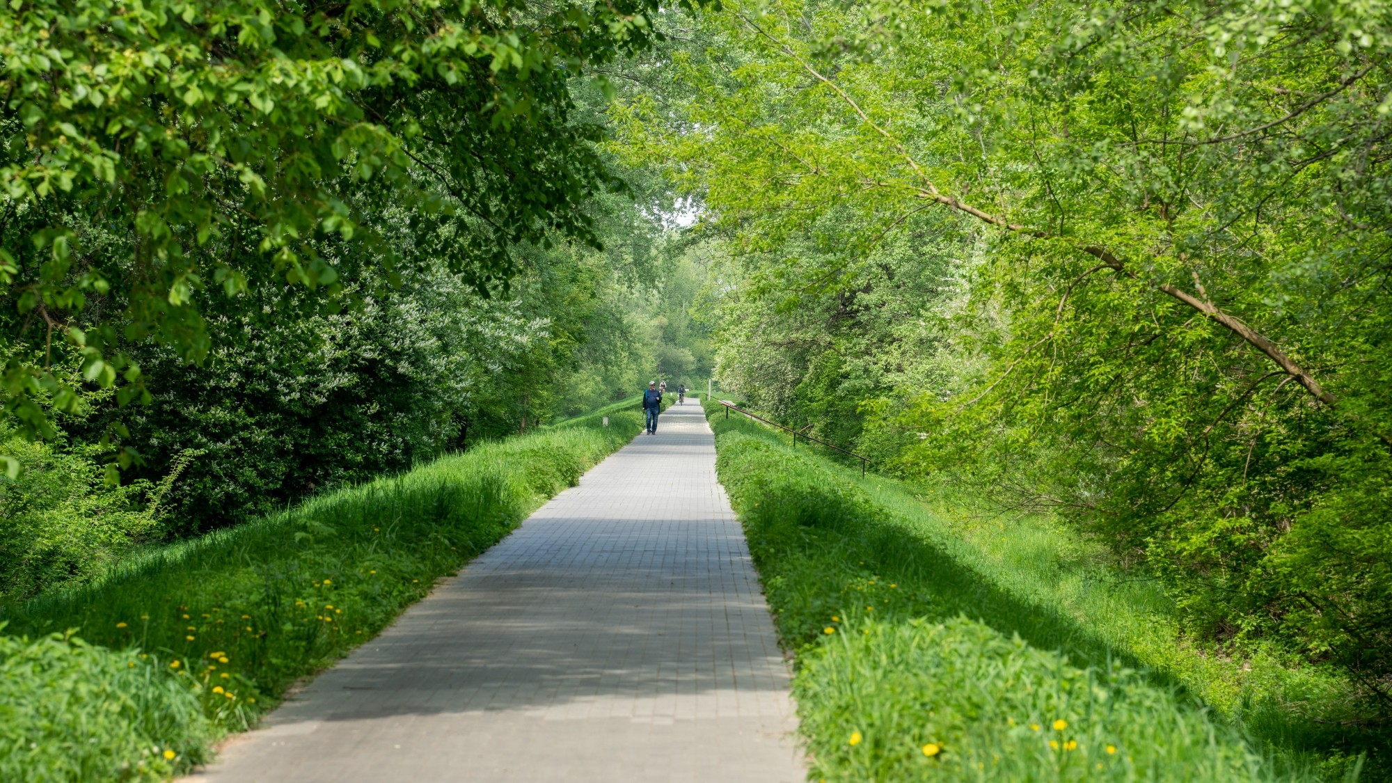 Wiosenna opowieść - zdjęcie 10