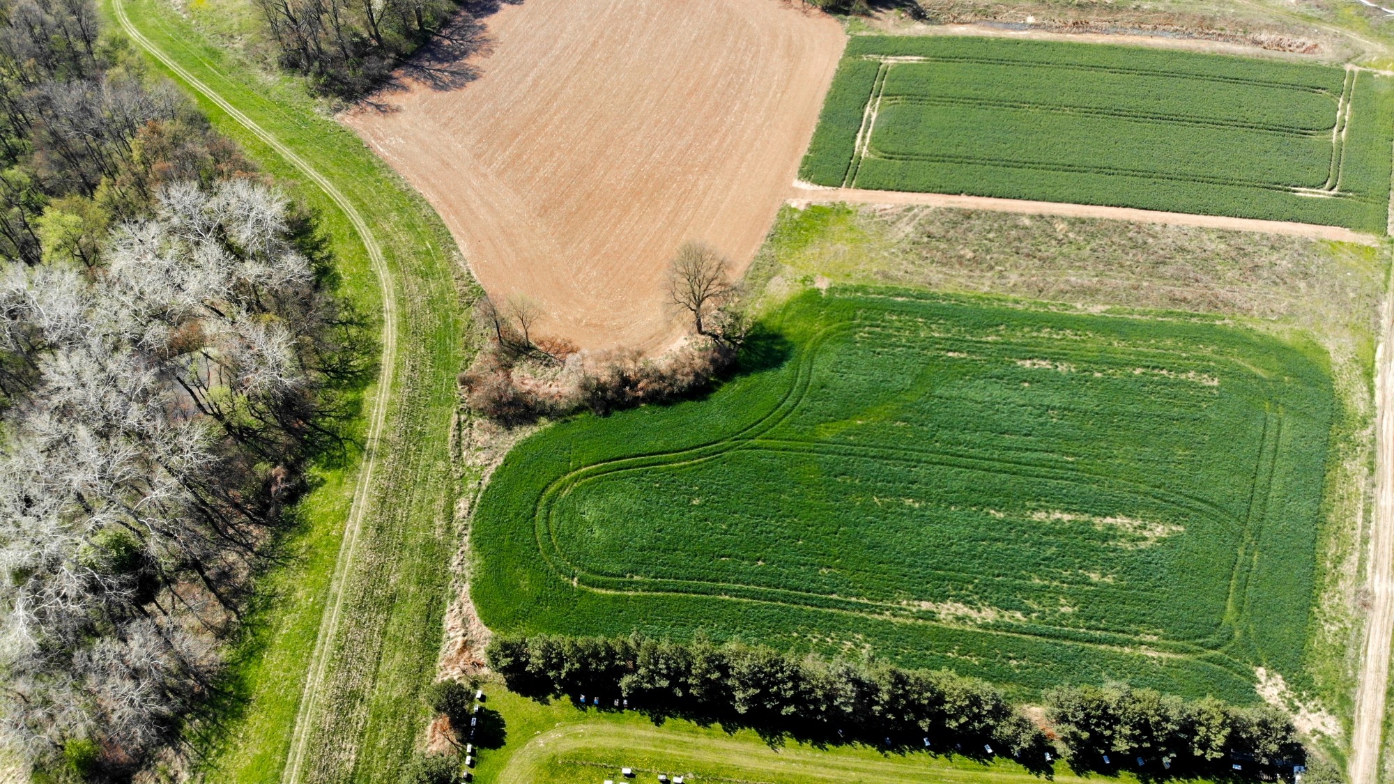 Niesamowita Polska z lotu ptaka - zdjęcie 66