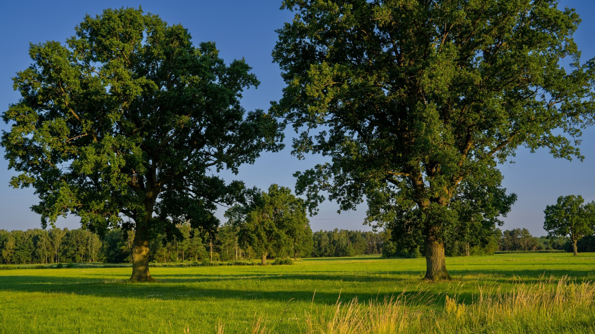 Kolory lata - zdjęcie 47