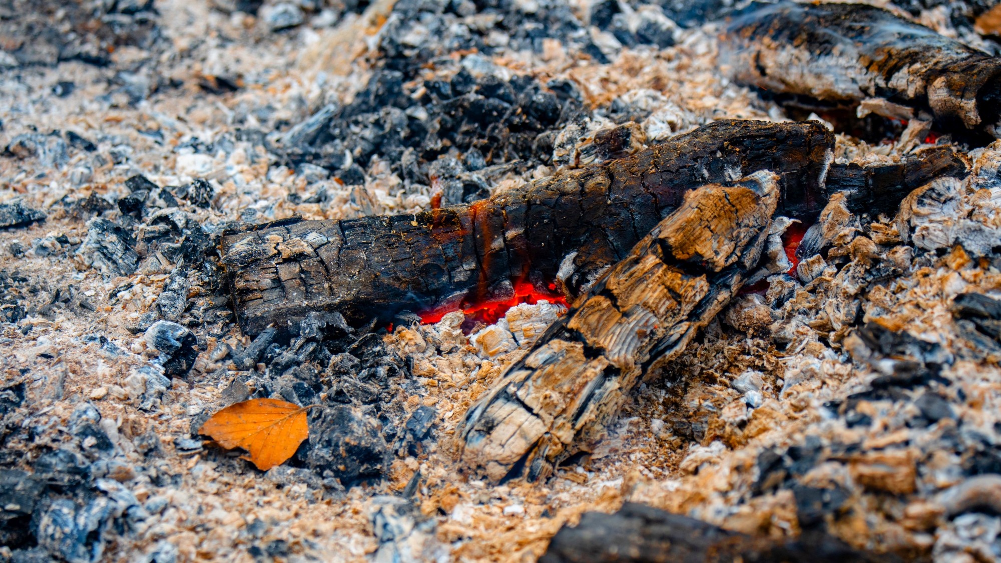 Różne oblicza zimy - zdjęcie 24