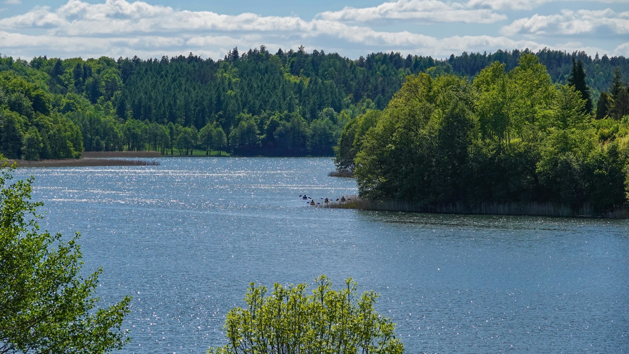 Lato w plenerze - zdjęcie 39