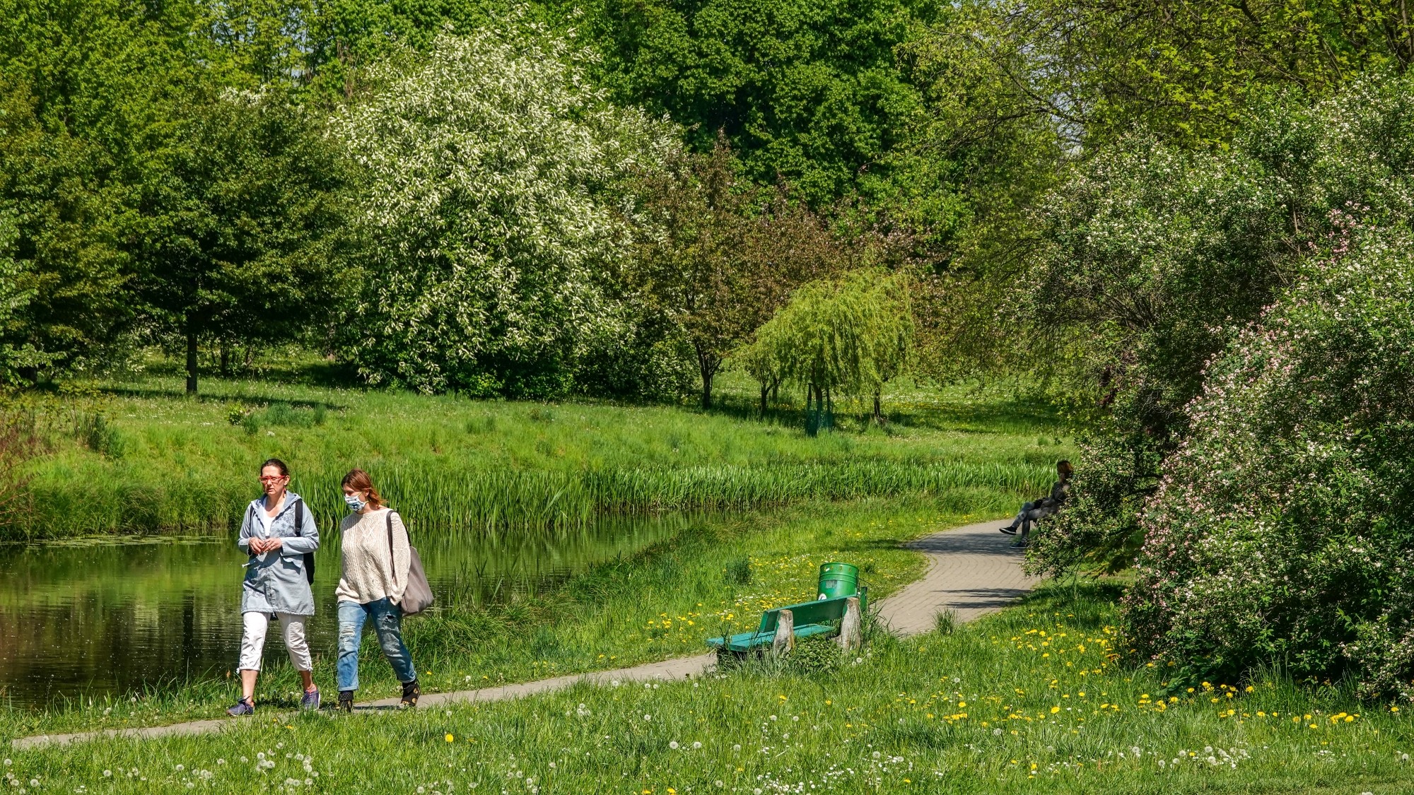Uroki zielonej pory roku - zdjęcie 49