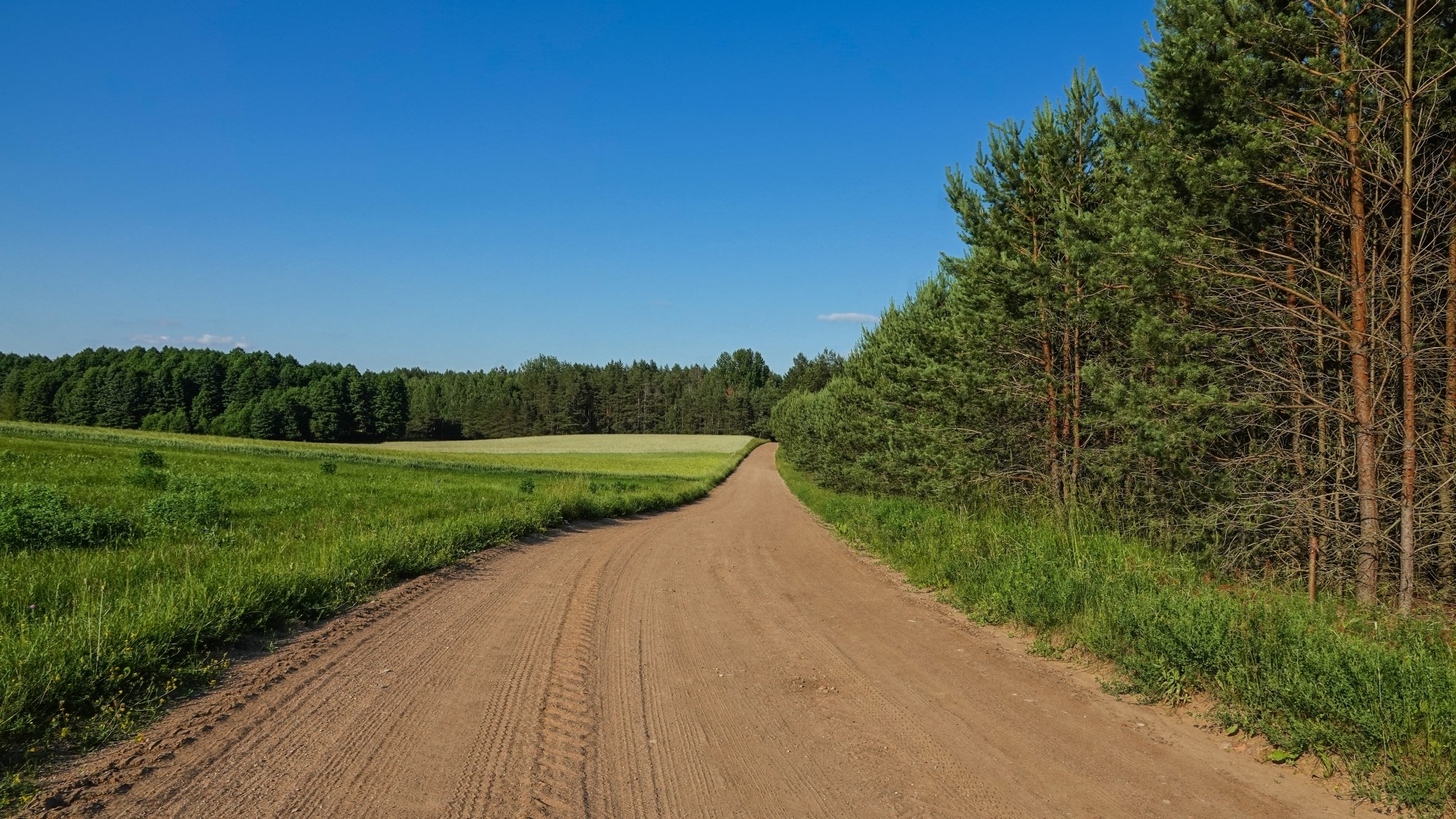 Letnie klimaty na łonie natury - zdjęcie 9