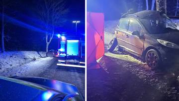 Samoch&oacute;d po wypadku drogowym uderzył w drzewo, widoczne fragmenty karoserii i poduszki ratunkowej.