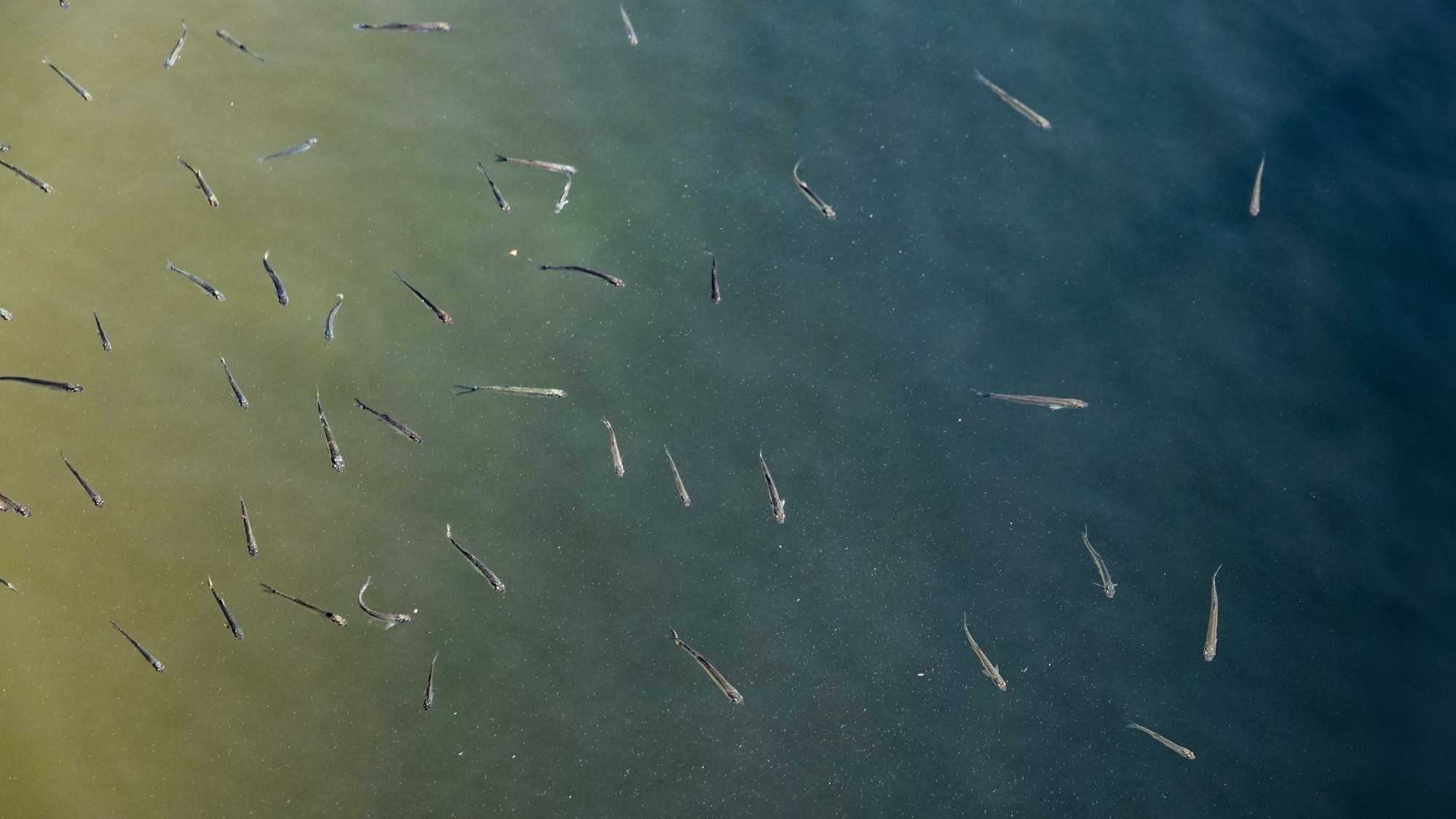 W maju jak w raju - zdjęcie 57