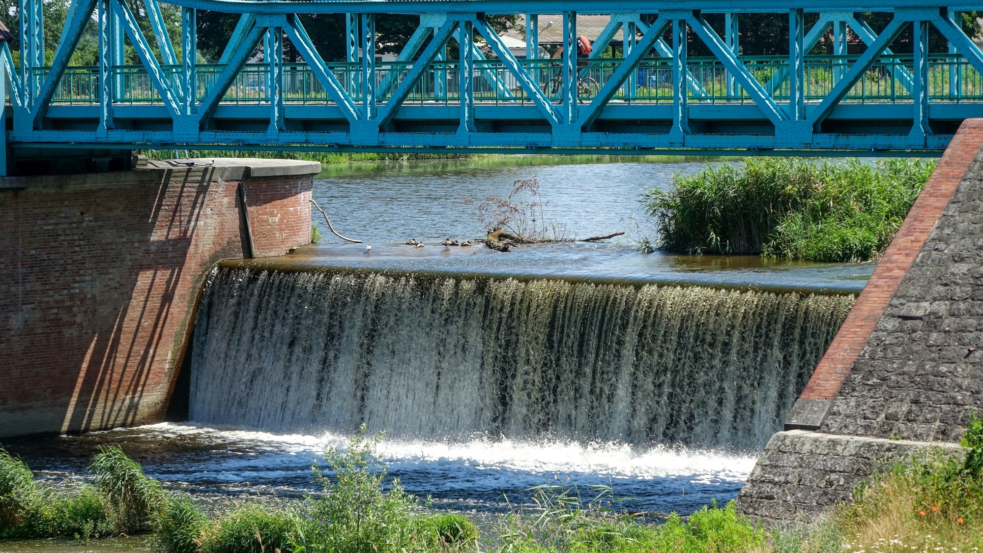 Czerwiec w obiektywie - zdjęcie 19