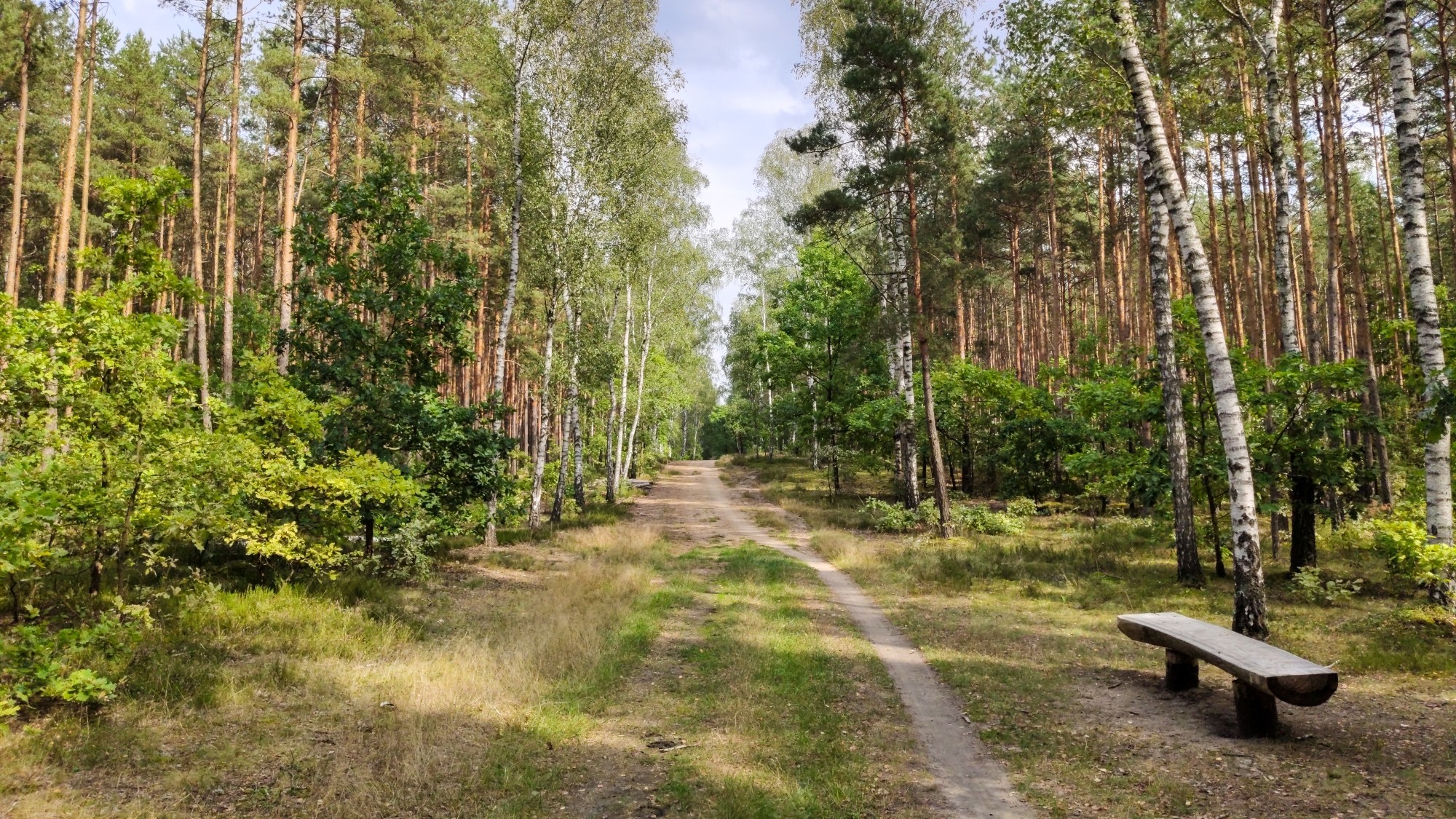 Późne lato na łonie natury - zdjęcie 20