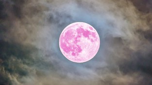 07.04.2020 11:00 Spektakularne zjawisko na niebie. Różowy Księżyc, najjaśniejszy i największy w tym roku. Nie przegap!