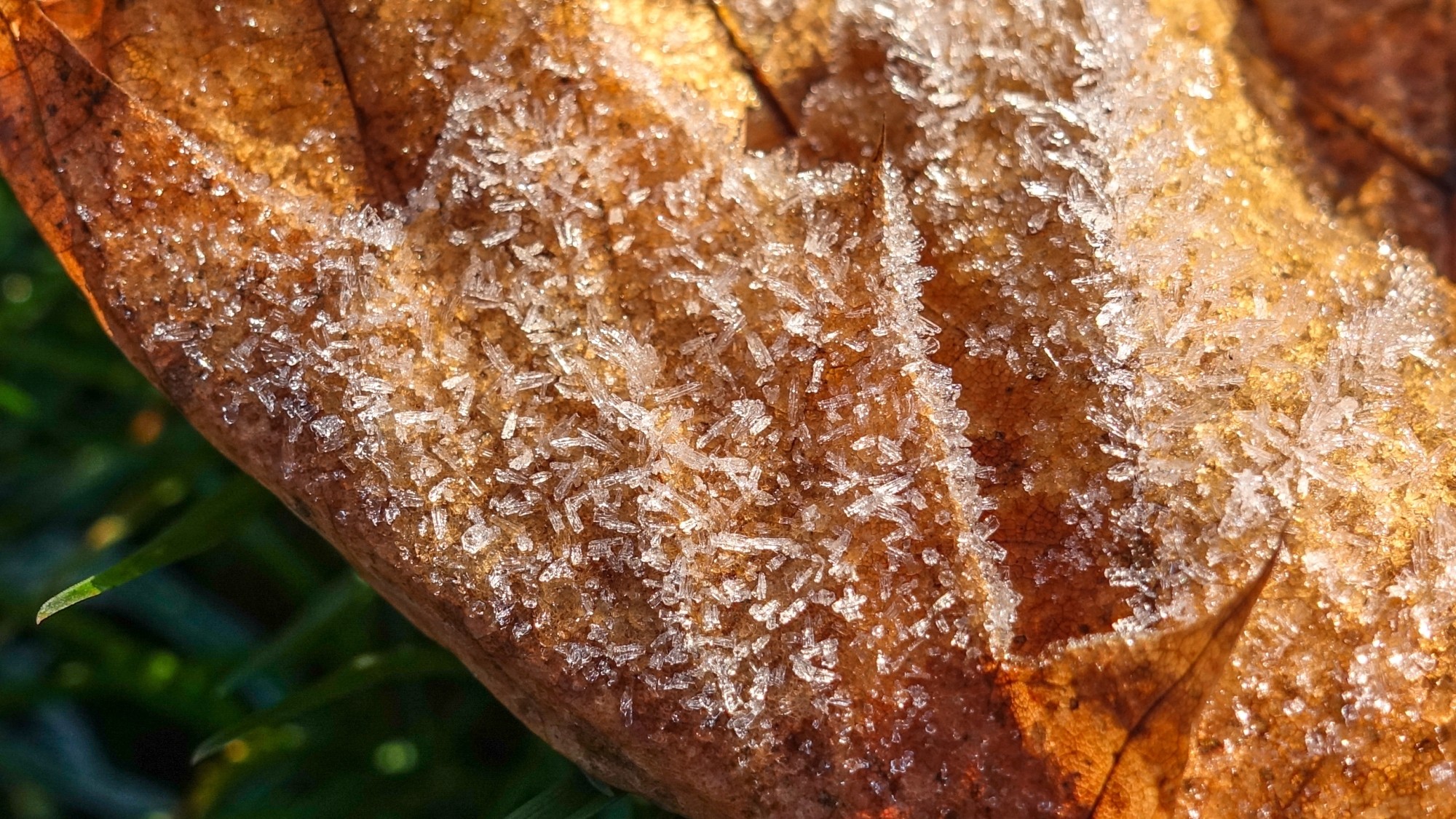 Szron pod lupą - zdjęcie 19