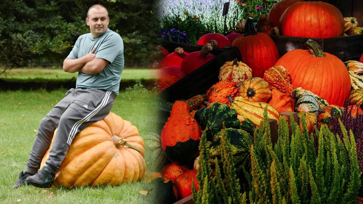 Waży tyle, co mały słoń. Olbrzymia dynia podbiła wystawę