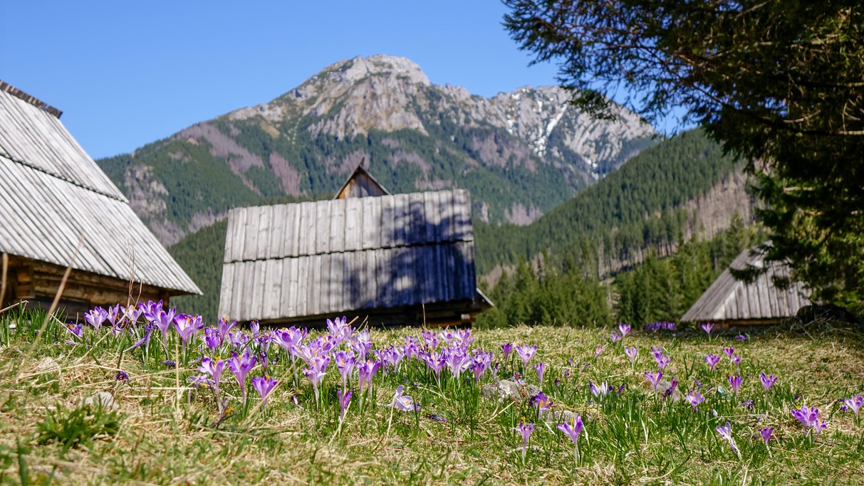 Majówka w Tatrach - zdjęcie 20