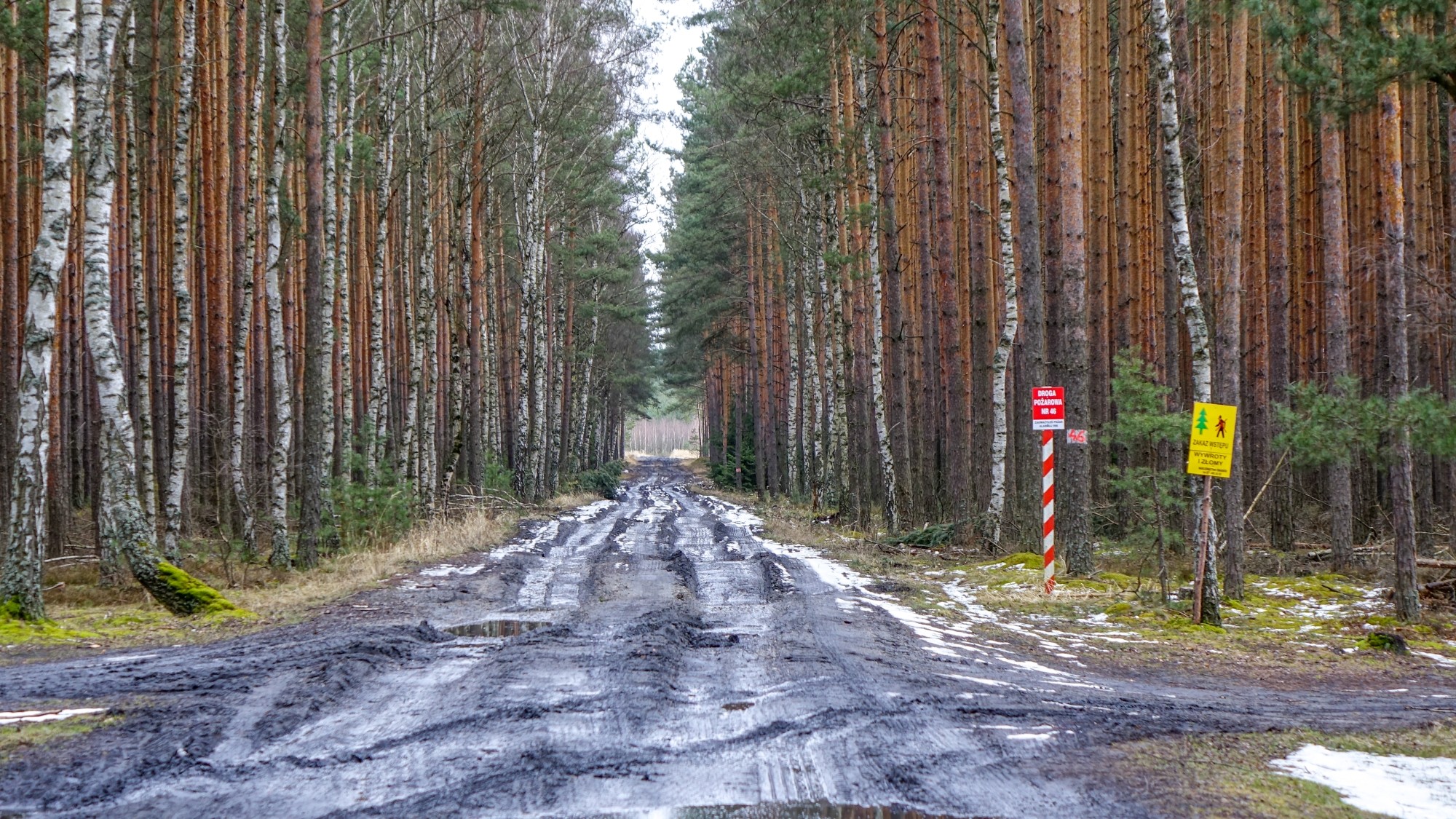 Urocze zakątki w lasach - zdjęcie 30