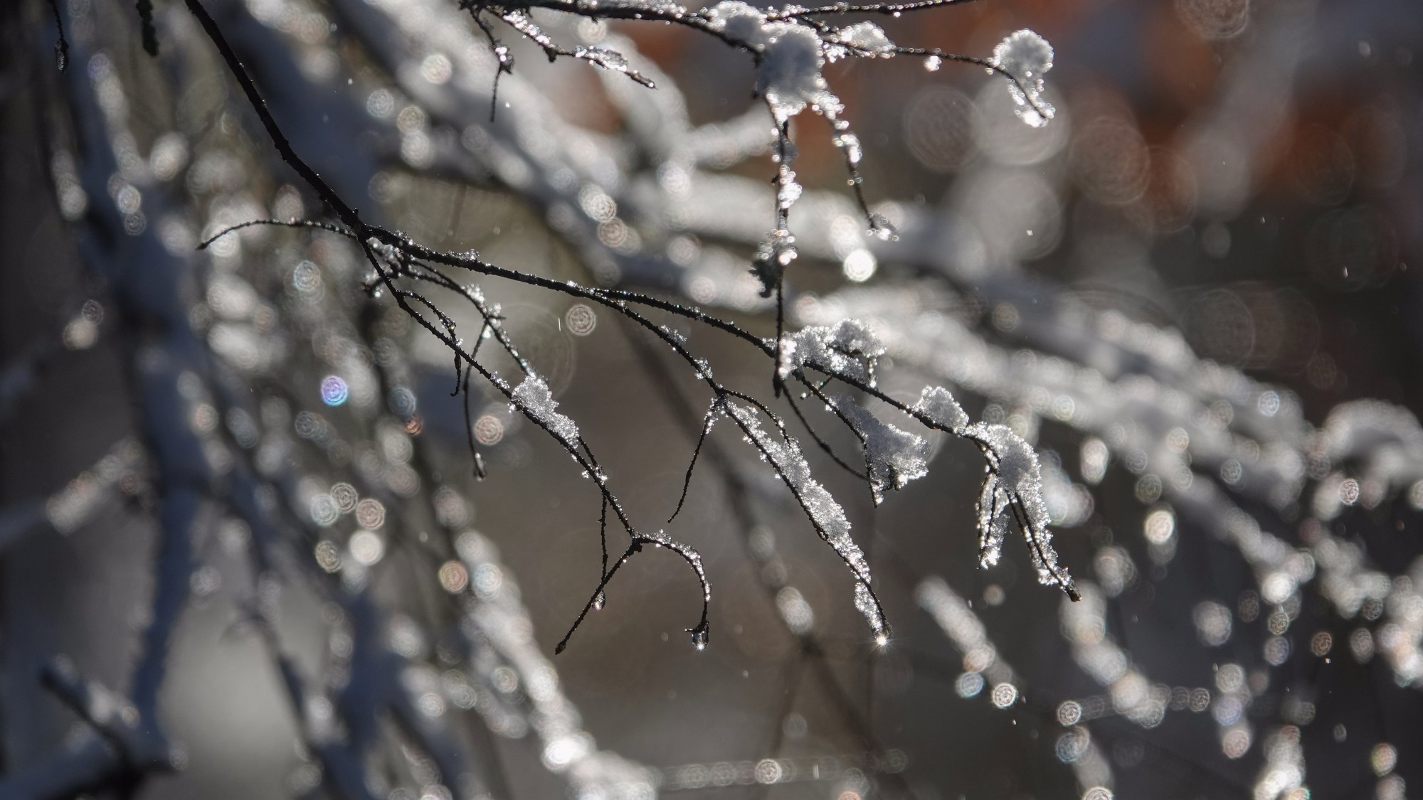 Oblicza zimy - zdjęcie 27